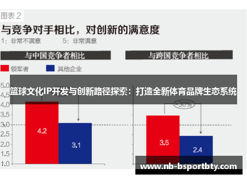 篮球文化IP开发与创新路径探索：打造全新体育品牌生态系统