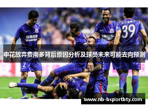 申花放弃费南多背后原因分析及球员未来可能去向预测