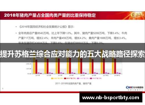 提升苏格兰综合应对能力的五大战略路径探索